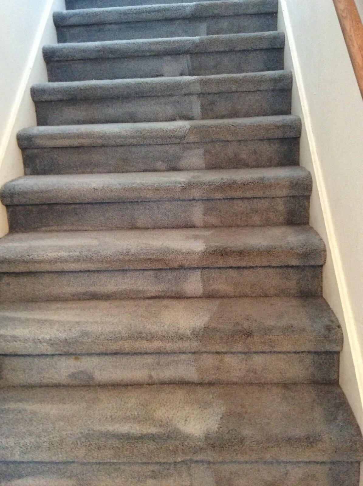 Carpet / tile and grout cleaning equipment
