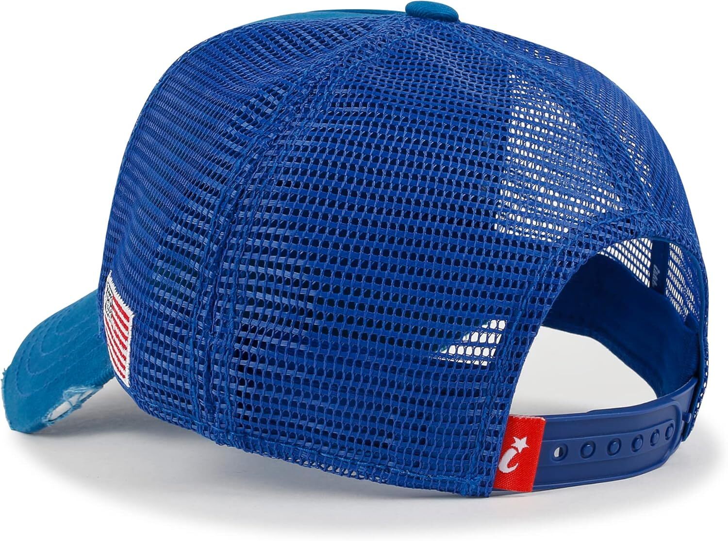 ililily PREMIUM NASA Worm Logo Embroidery Structured Medium, Blue-lined