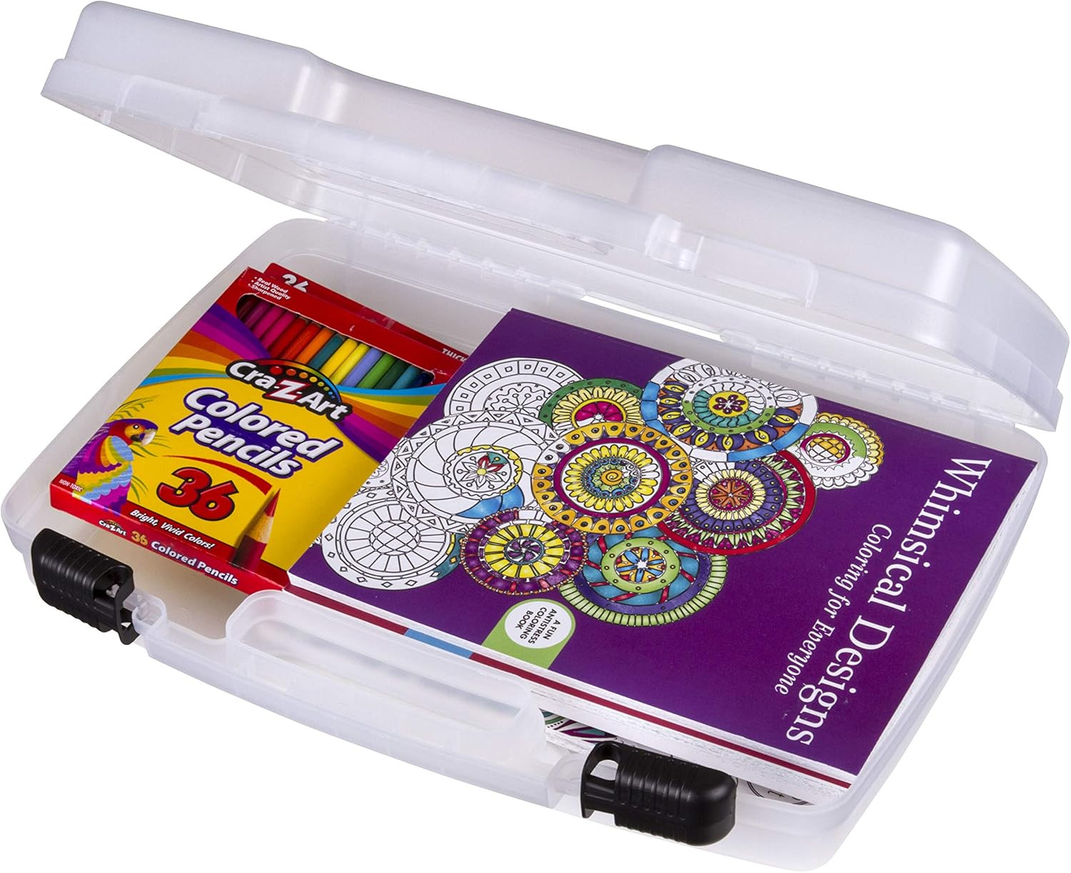 17 Inch 8017AB Quick View Carrying Case, Portable Art & Craft Organizer with Han