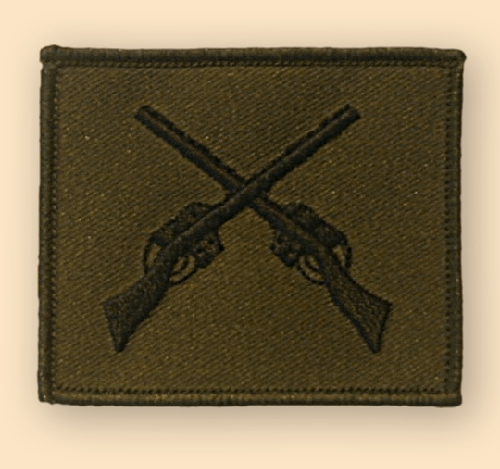 NEW OFFICIAL Skill at Arms badge, subdued
