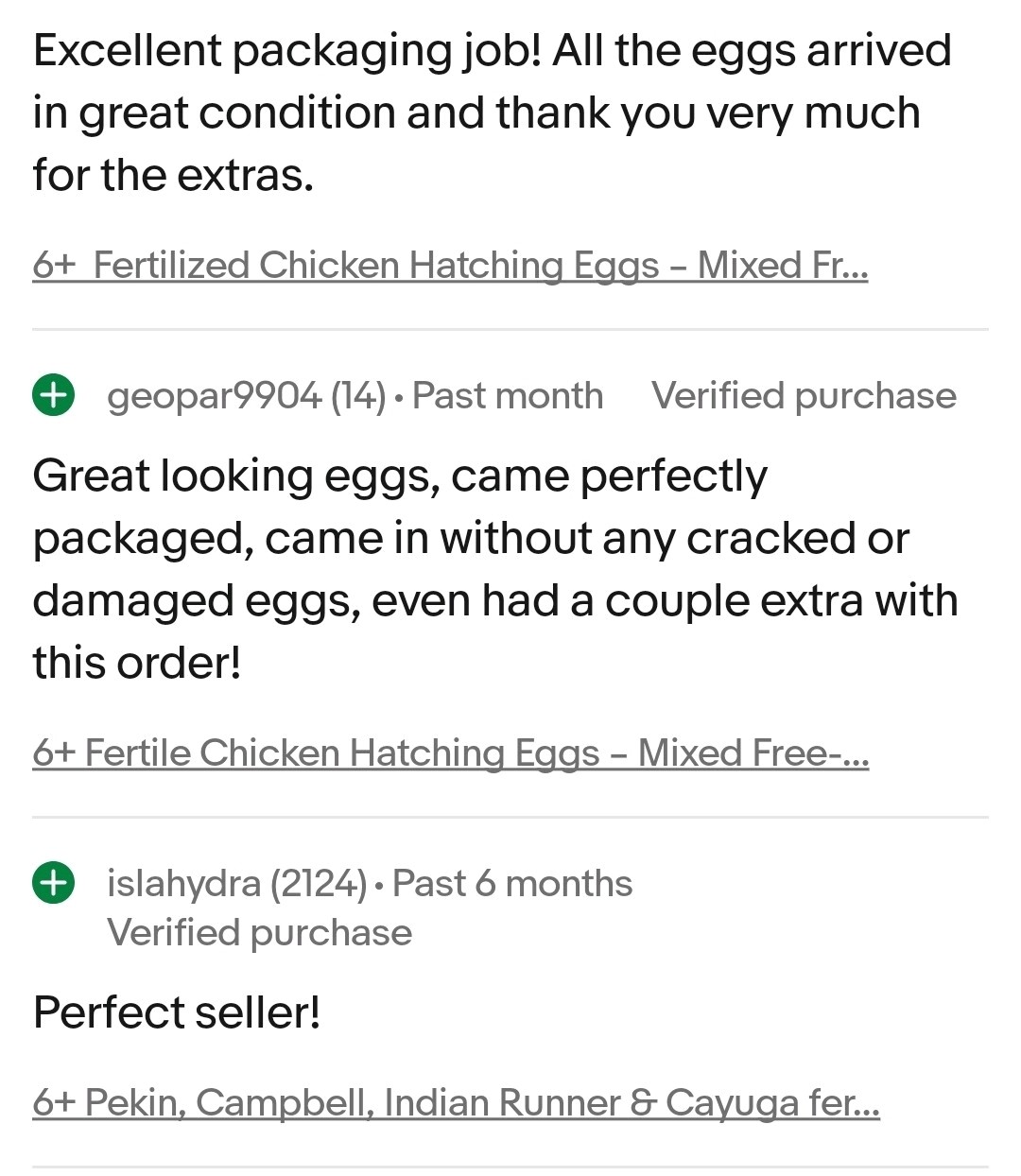 6+ Fertilized Blue & Olive Chicken Eggs