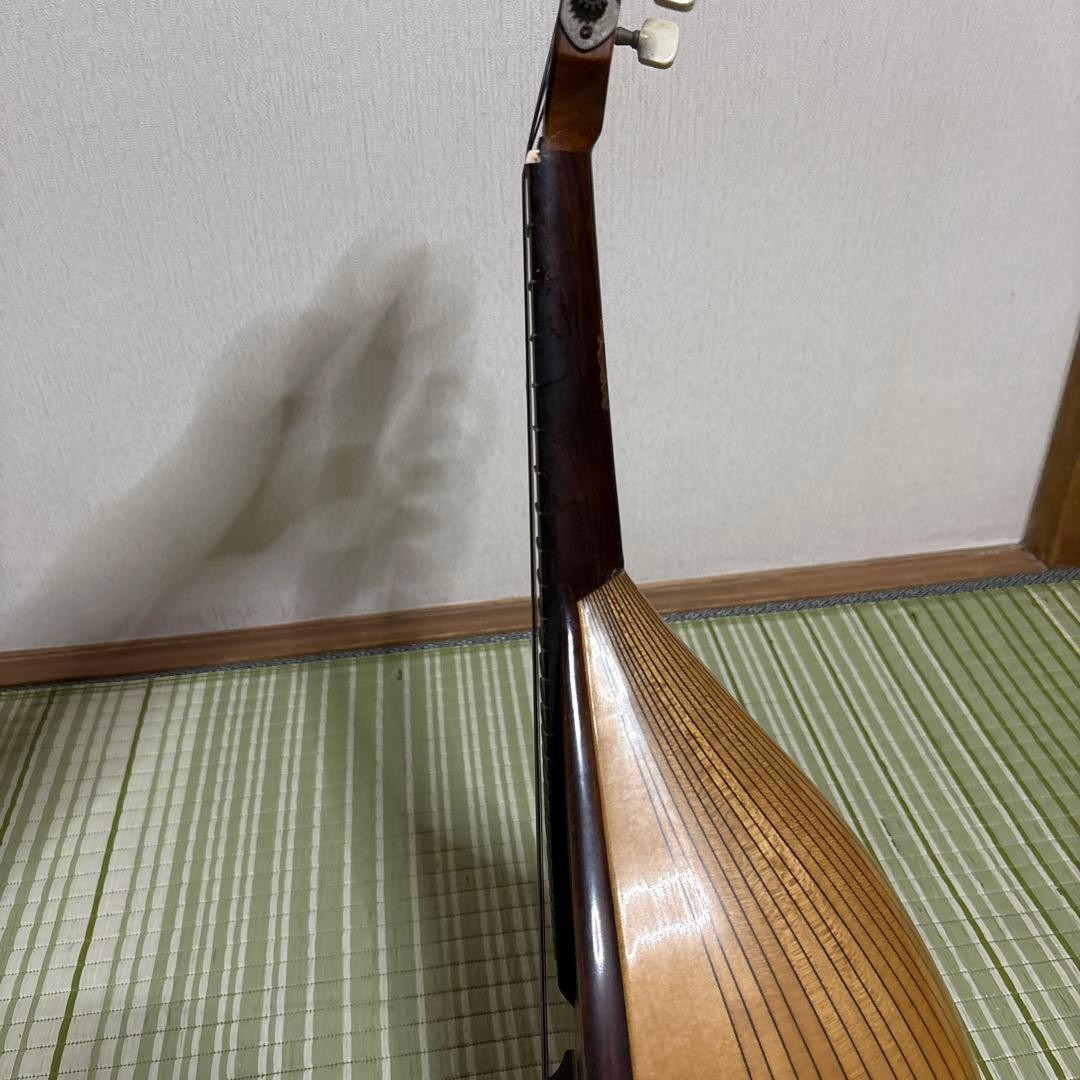 Raffaele Terada Musical Instruments High End Mandolin RM-3 String Guitar