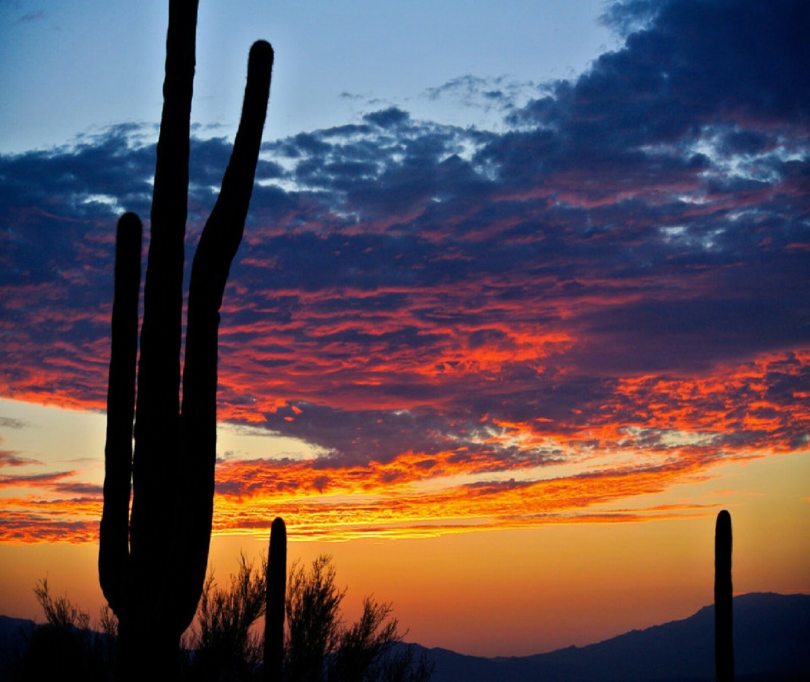 SUNRISE INTHE DESERT CACTUS CLOUDS COMPUTER MOUSE PAD  9 X 7