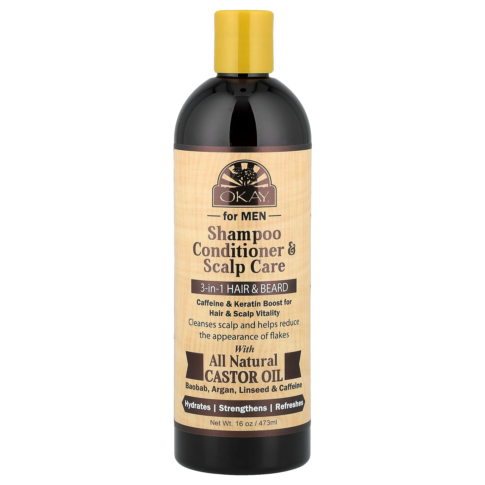 For Men, Shampoo Conditioner & Scalp Care, 3-in-1 Hair & Beard, 16 oz (473 ml)
