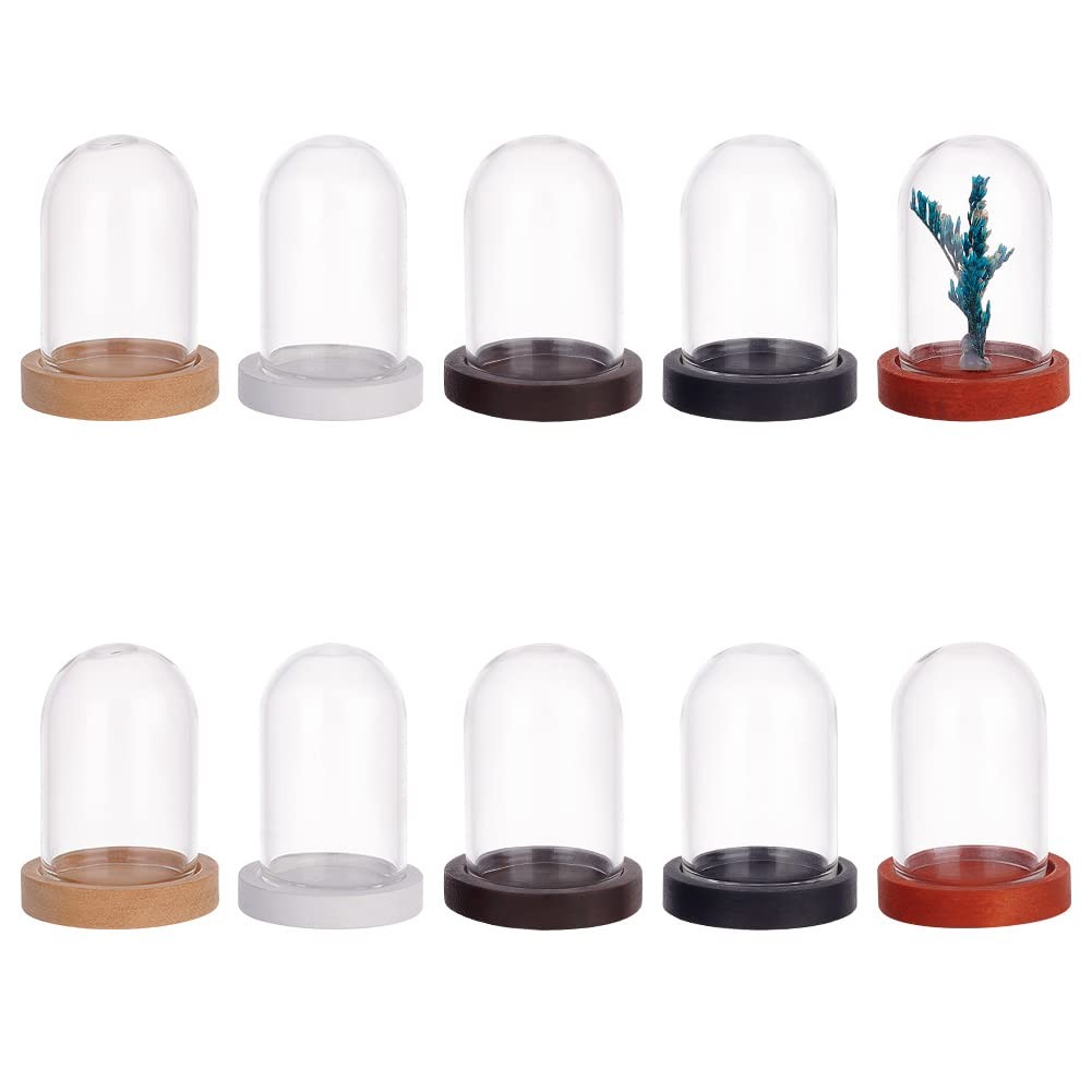 10pcs Glass Display Dome Cloche, Display Bottles Bell Jar Display Dome with C...