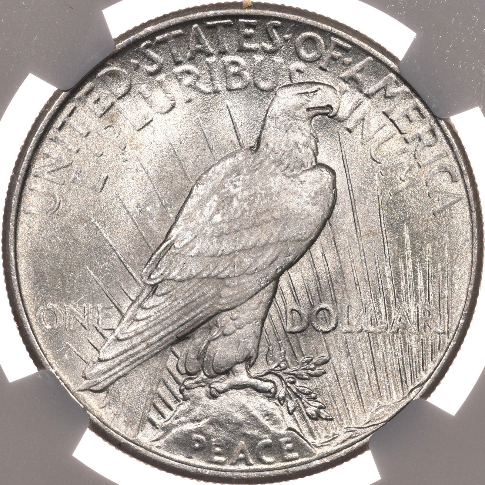 1925 $1 NGC MS67 Peace Silver Dollar Gem Uncirculated