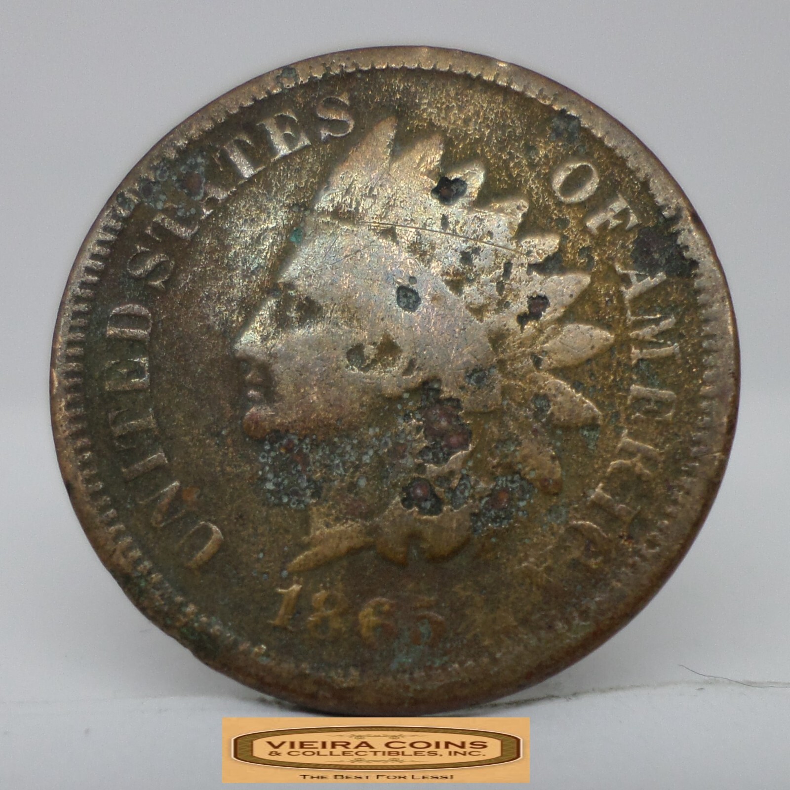 1865 Indian Head One Cent, Damaged -  #C41931NQ