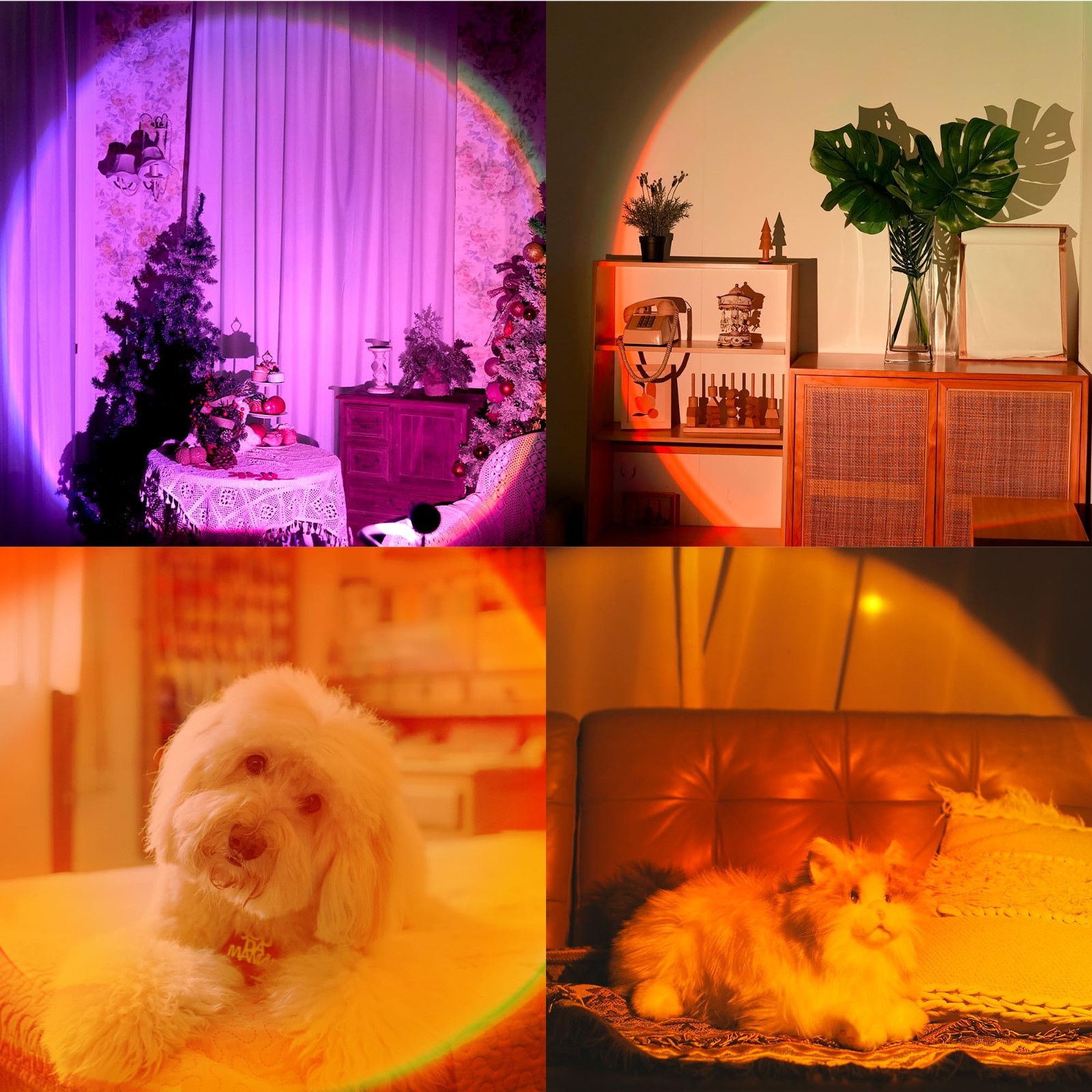 Sunset Projection Lamp - 21 Colors, 180° Rotation, APP & Button Control, Party D