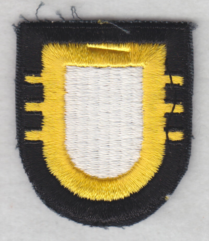 Army Beret Patch:  3rd Brigade, 101st Airborne Division - cut edge