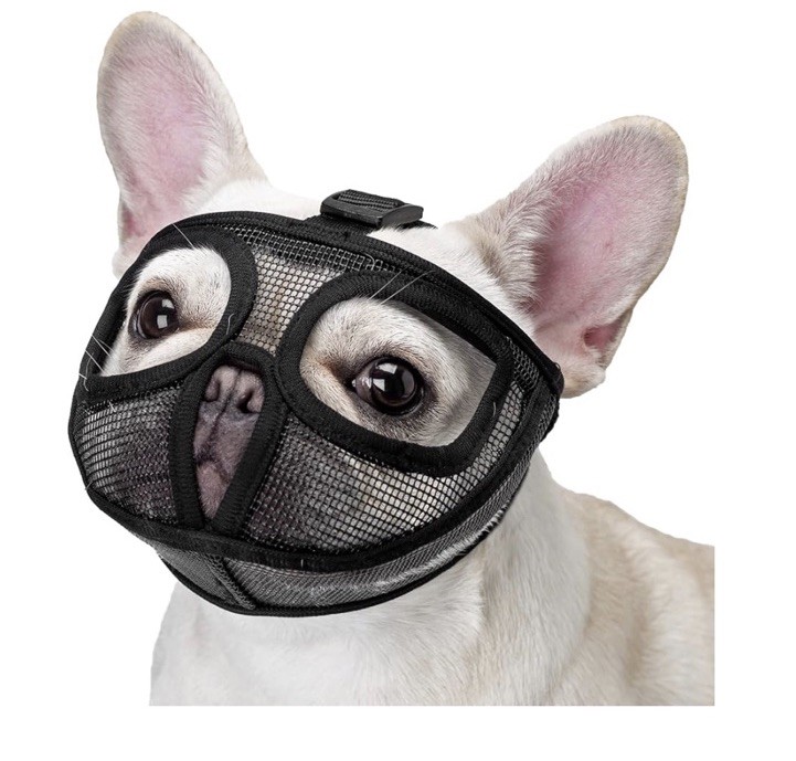 Dog Short Snout Licking (S/Black) New Open Package