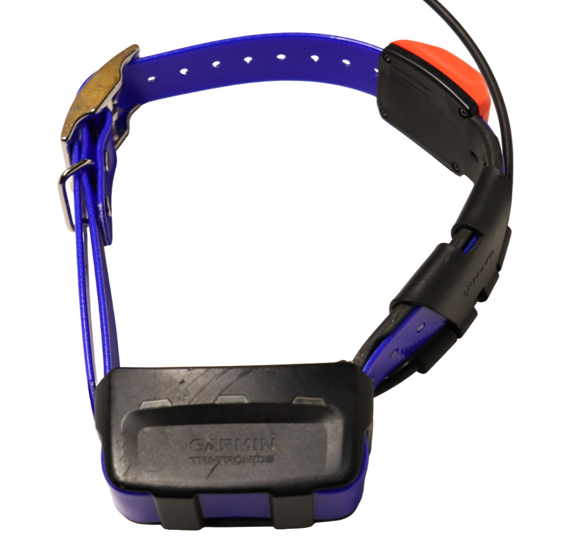 Garmin T5X GPS Tracking Collar – Very Good Condition – New Blue Strap