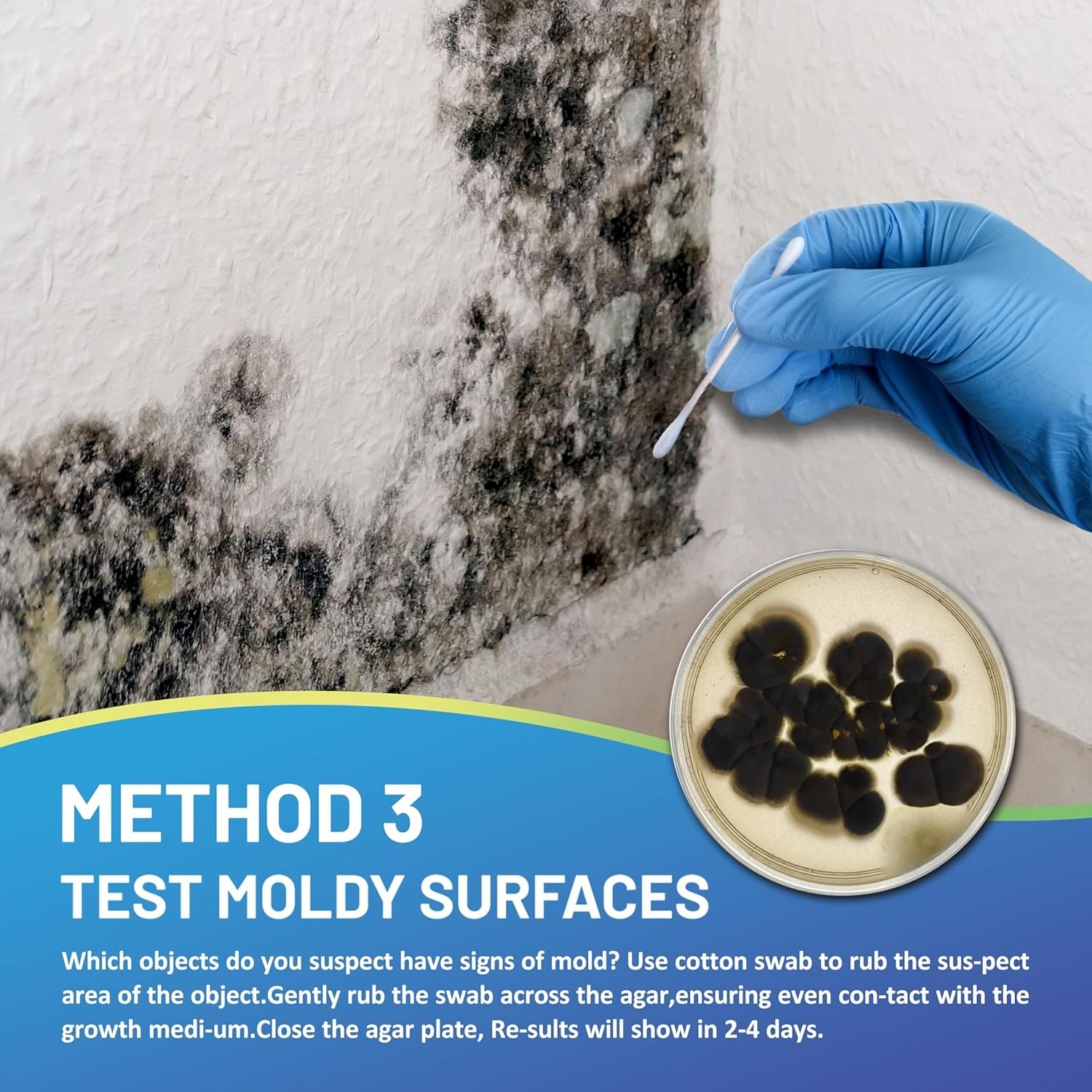 Mold Kit with Comprehensive Guide & Fast Results: Protect Your Home Today