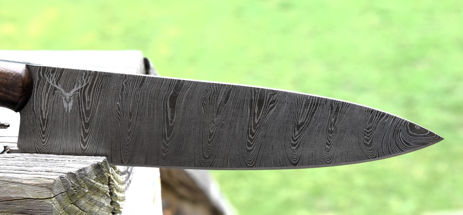 Kitchen Knife