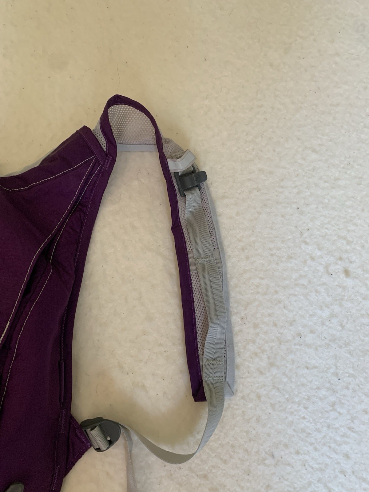 Camelback Charm Hydration Pack Purple