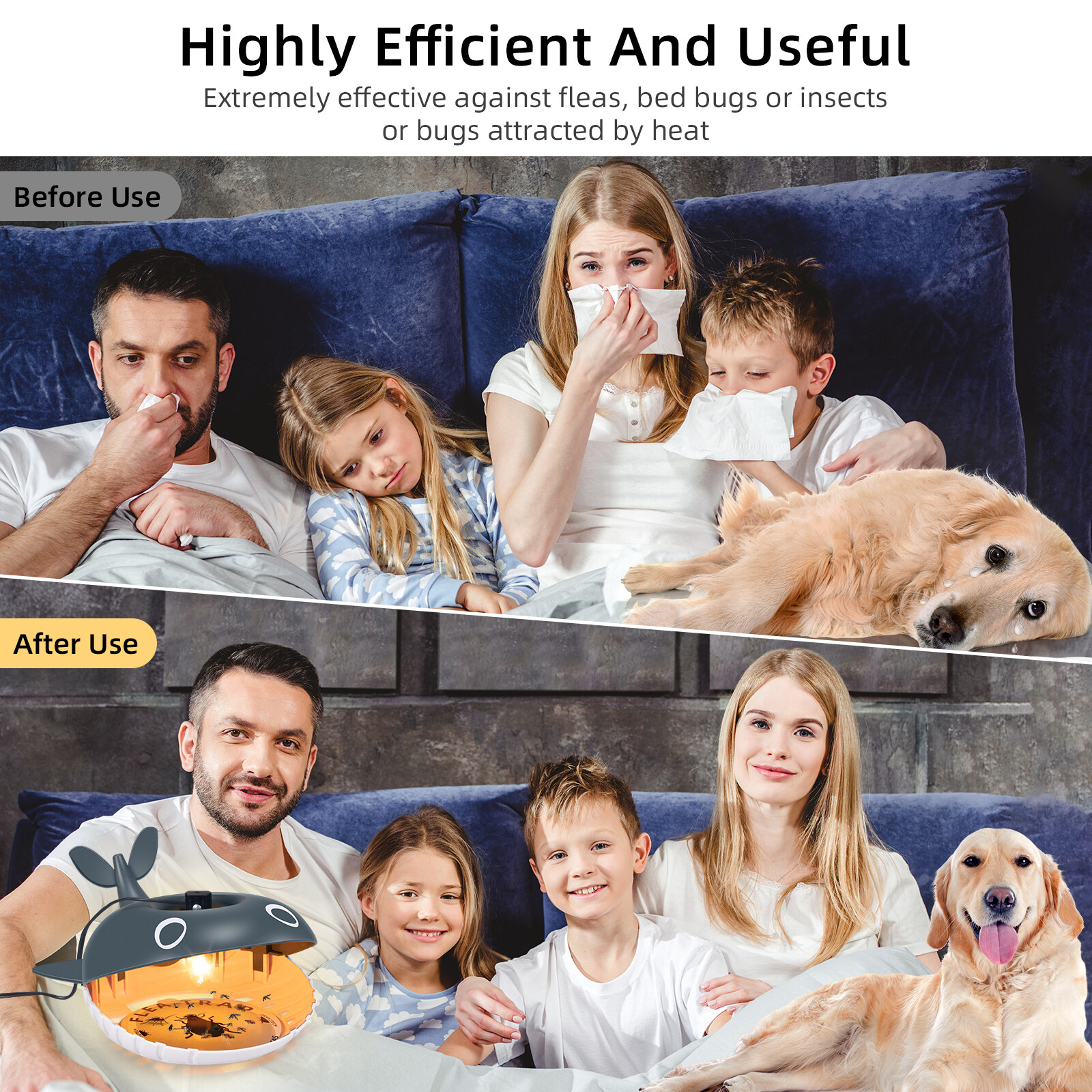 Flea Traps – 2 Pack, Light-Activated, Safe for Pets & Kids US