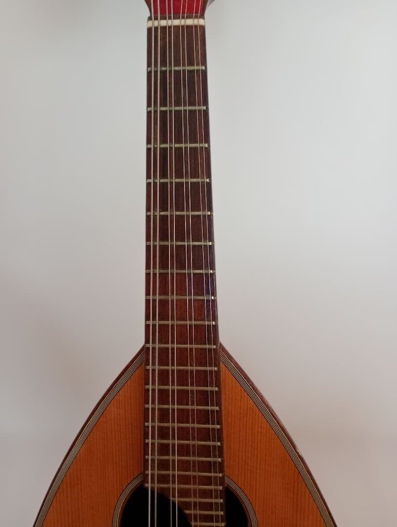 Calace Calace Mandolin Mandolin [No.24]