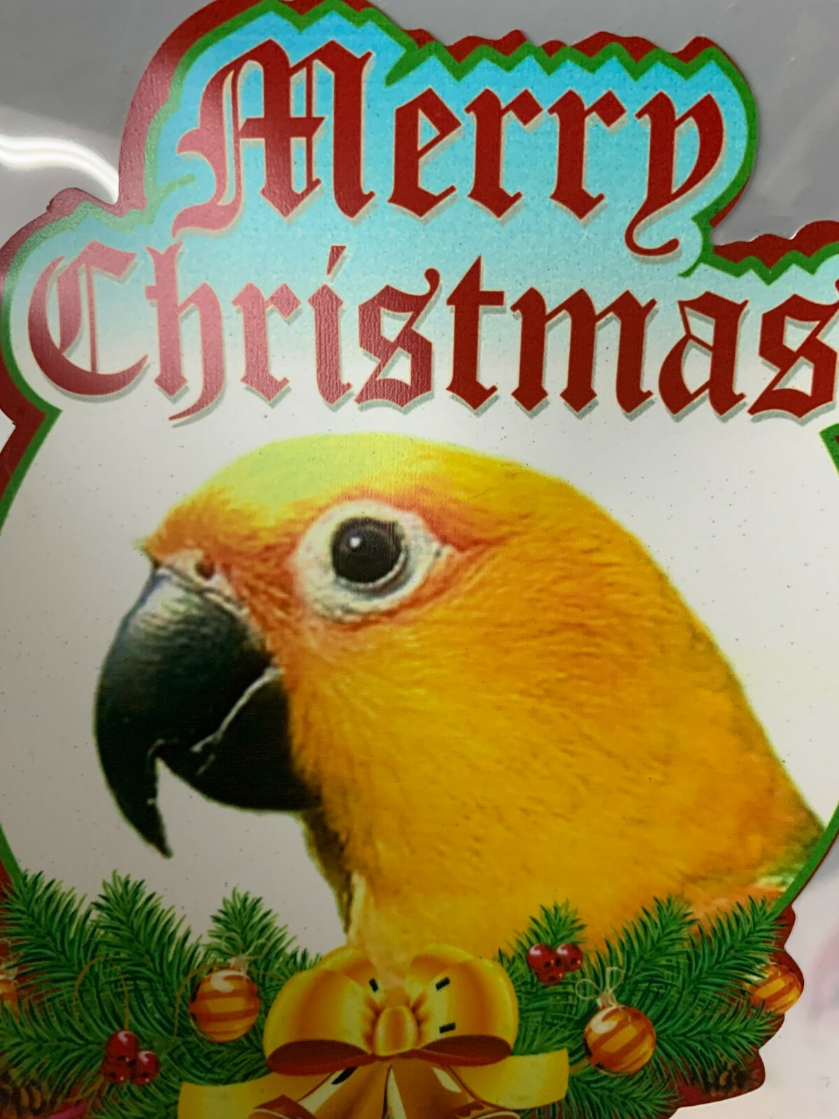 SALE!  Jenday Conure / Jandaya Parakeet Parrot Exotic Bird Christmas Stockings