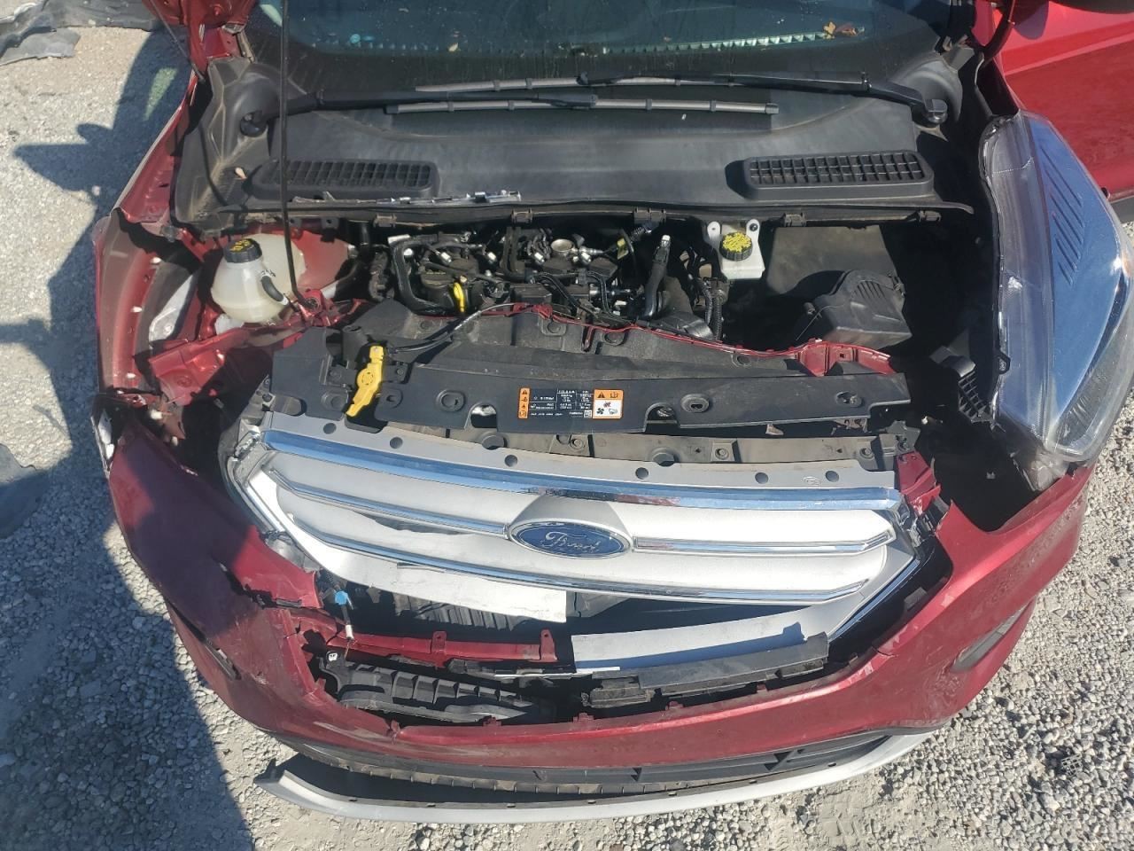 ESCAPE 2019 Glove Box 4924929