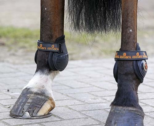 SALE Kentucky Moon Boots