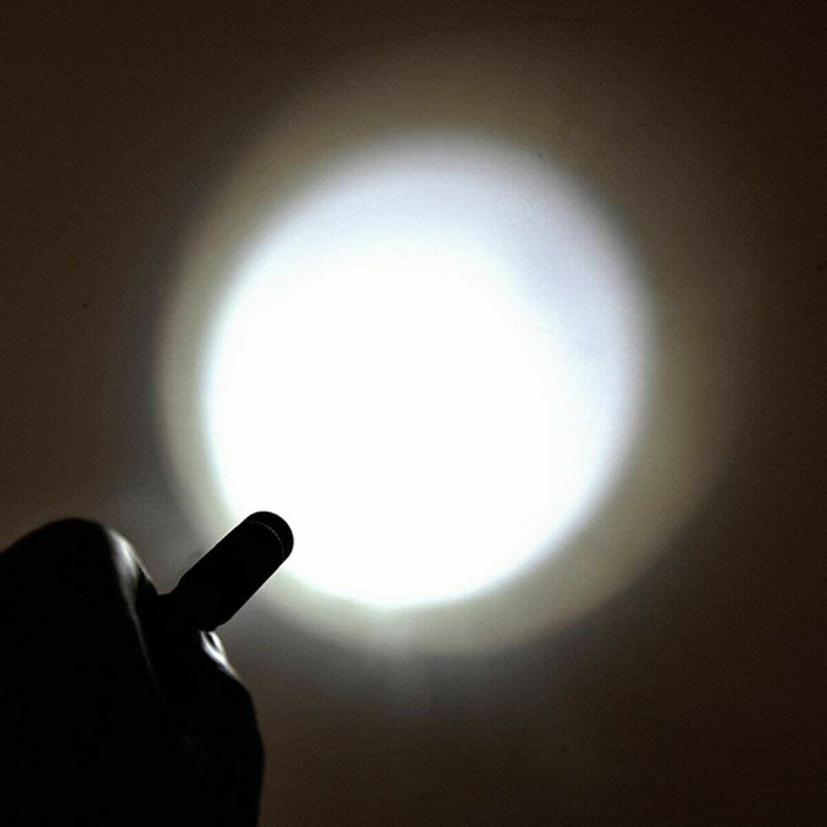 5Pcs LED Flashlight Portable Pen Torch Lamp Clip Mini Light Penlight US