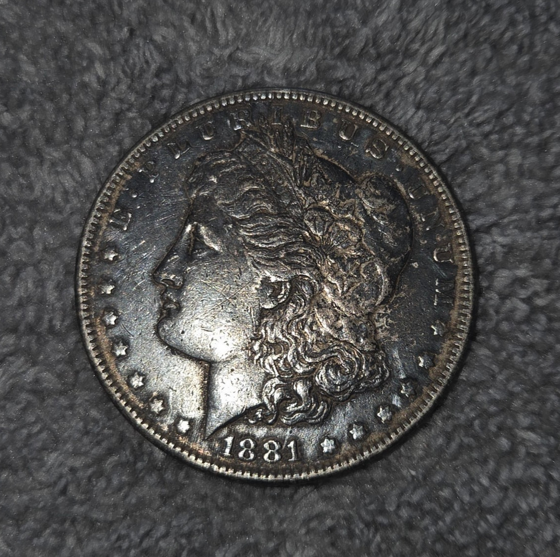 1881 Morgan Silver Dollar Toned Blueish Grayish Toning - VF-XF Blue Gray 1$