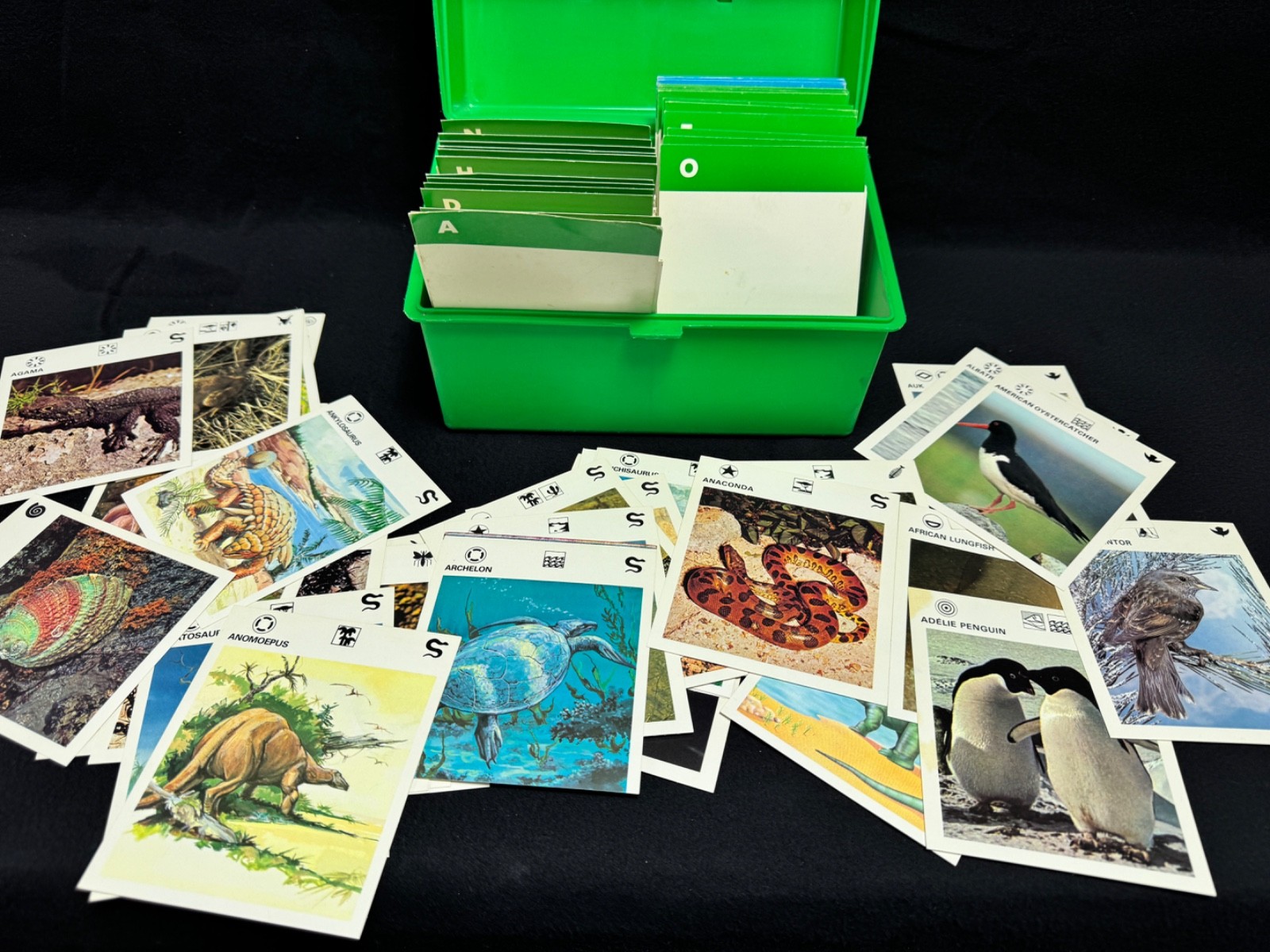 Vintage 1970s Illustrated Wildlife Treasury Animal Fact Cards & Case Over 600