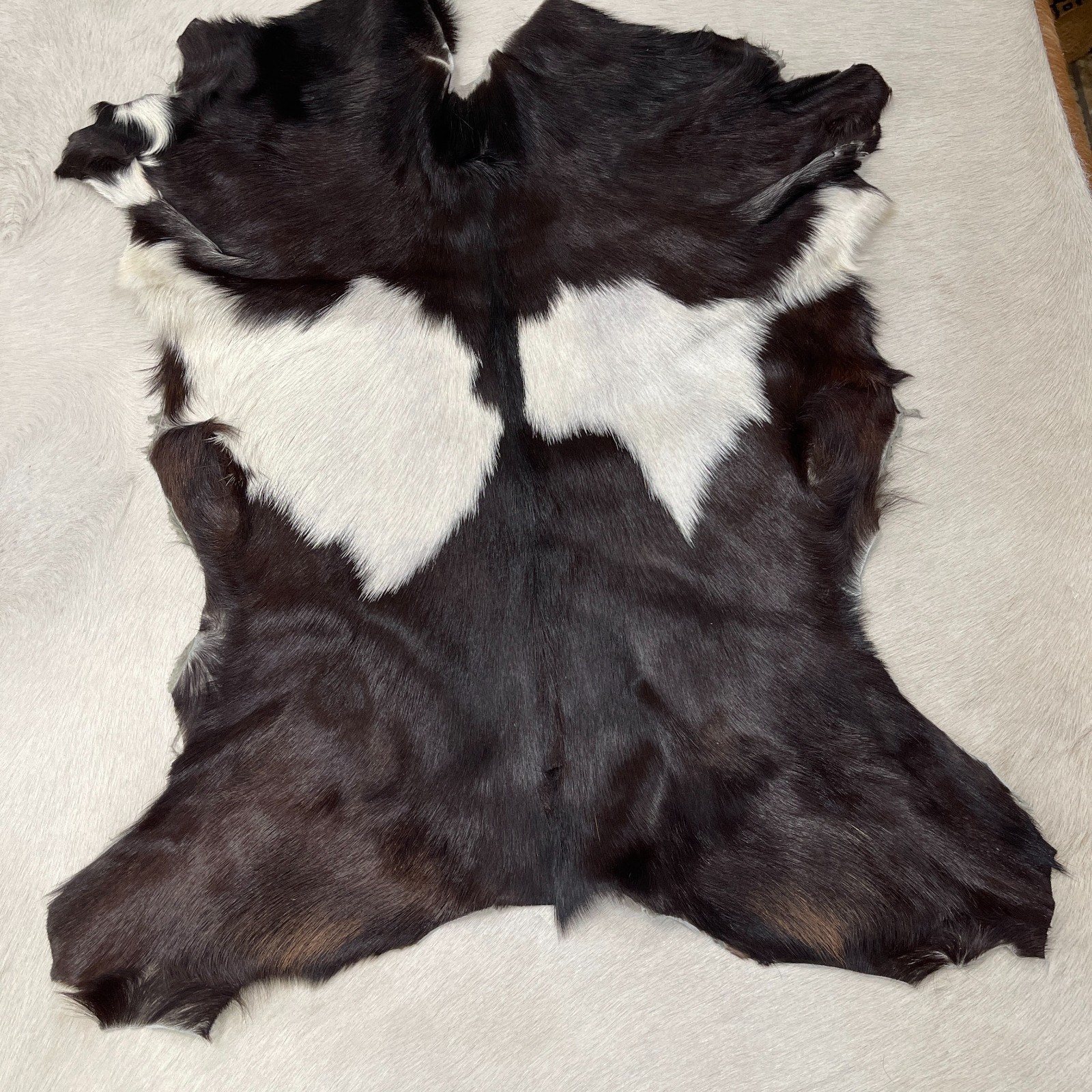 Avetco Real Goatskin Rug Exotic Tone #07 - Size 18-24" X 24-30"