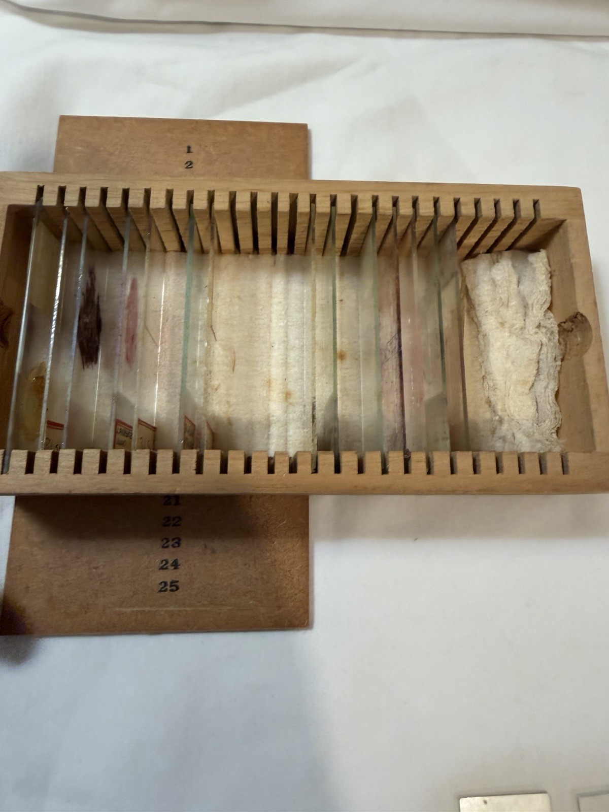 Vintage Microscope Medical Lab Slides