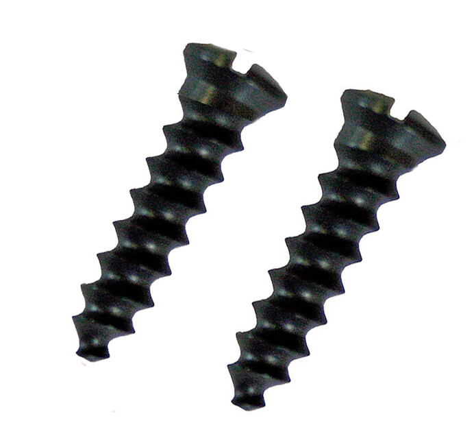Tang Screws  (2)   New fits Stevens  1894  1915 Favorite