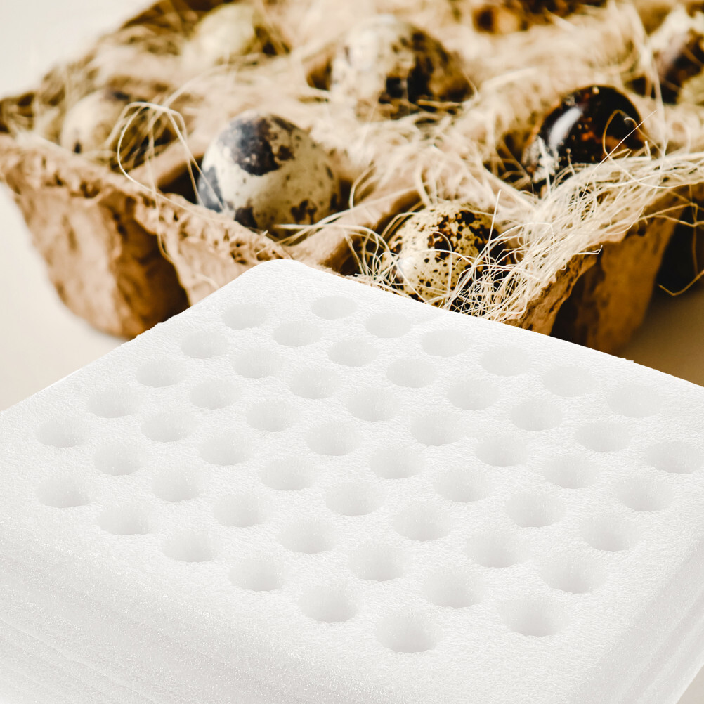 2 Sets Egg Tray Packaging Quail Stand Holder Reusable Boxes Storage Container