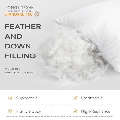 Set of 2 Down and Feather Throw Pillow Inserts 22x22 Soft Fluffy 22x22 Inch