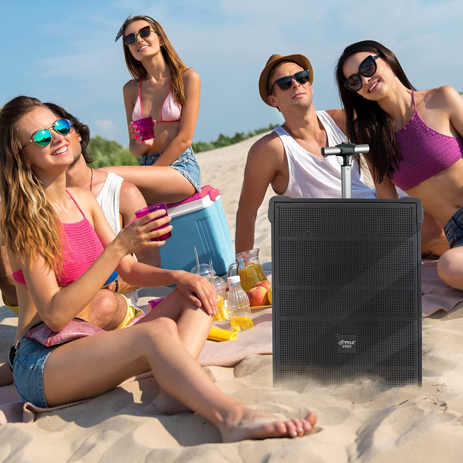 PylePro 10'' Portable Wireless Bluetooth Speaker System