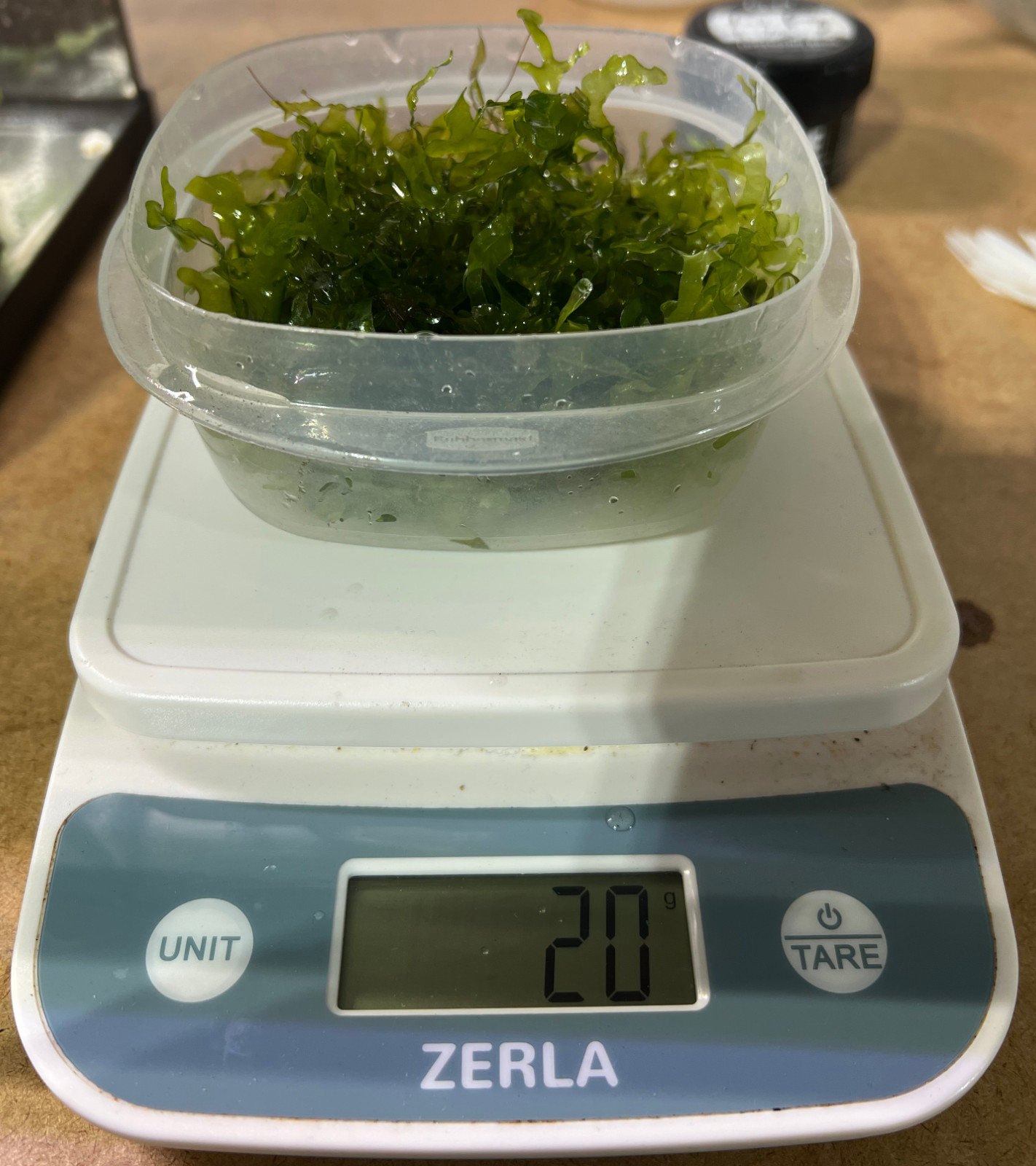 Subwassertang Portion - 20 Grams