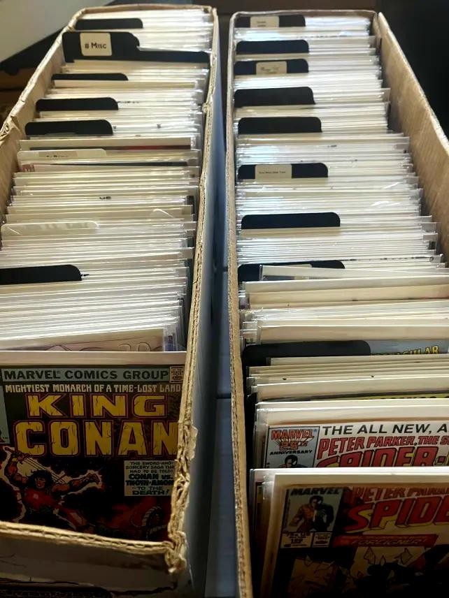 COMIC BOOK LOT (50 COMICS) | VARIETY/ASSORTMENT | MARVEL, DC