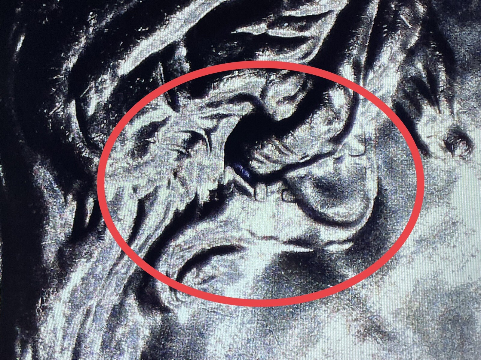 2023 P Edith Kanaka’ole Quarter BU “EDITH” Clashed Die Error