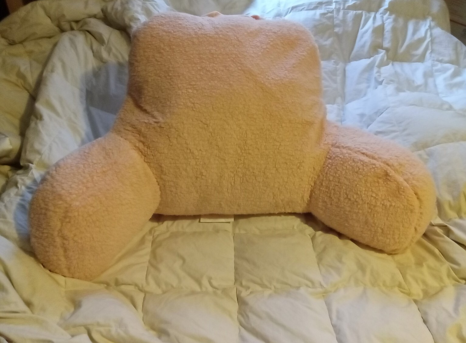 Room Essentials Backrest Pillow Pink Oeko-Tex New