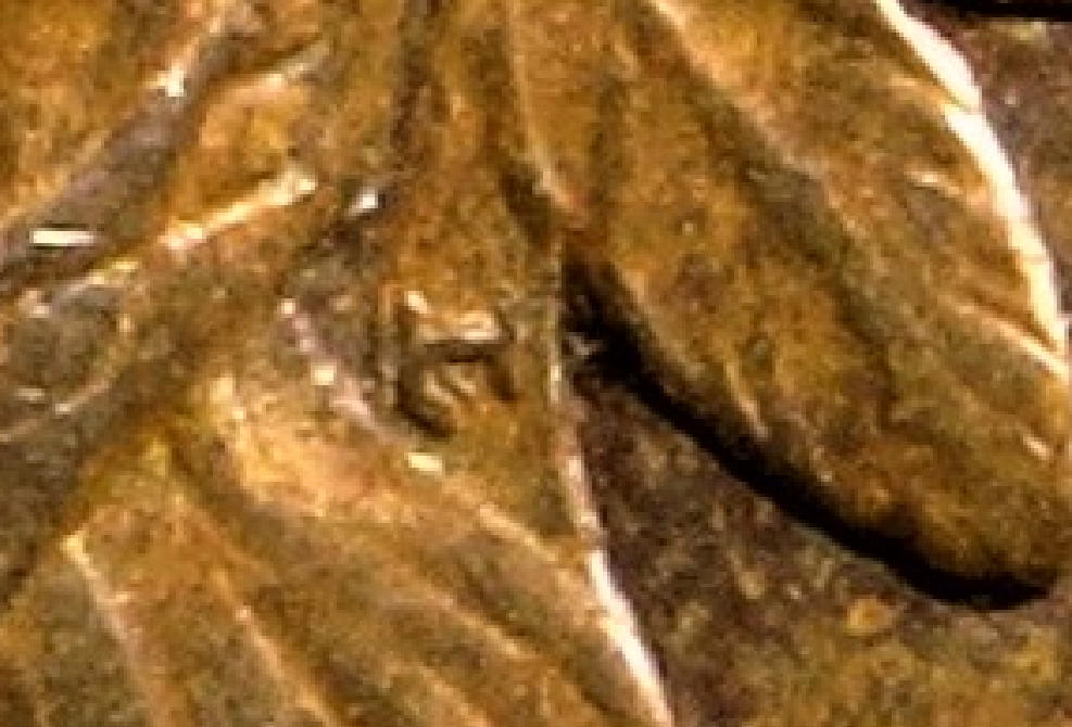 Almost Uncirculated 1909 Indian Head Cent doubled die large L over small L