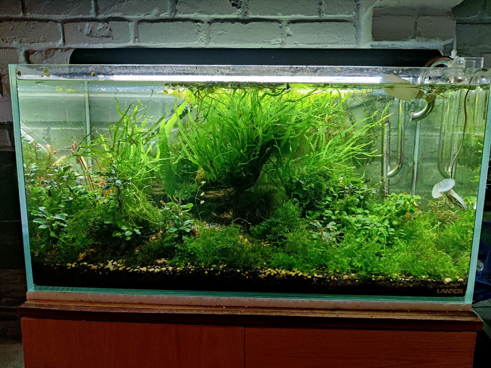 Shipping upgrade , buyer appreciation listing.