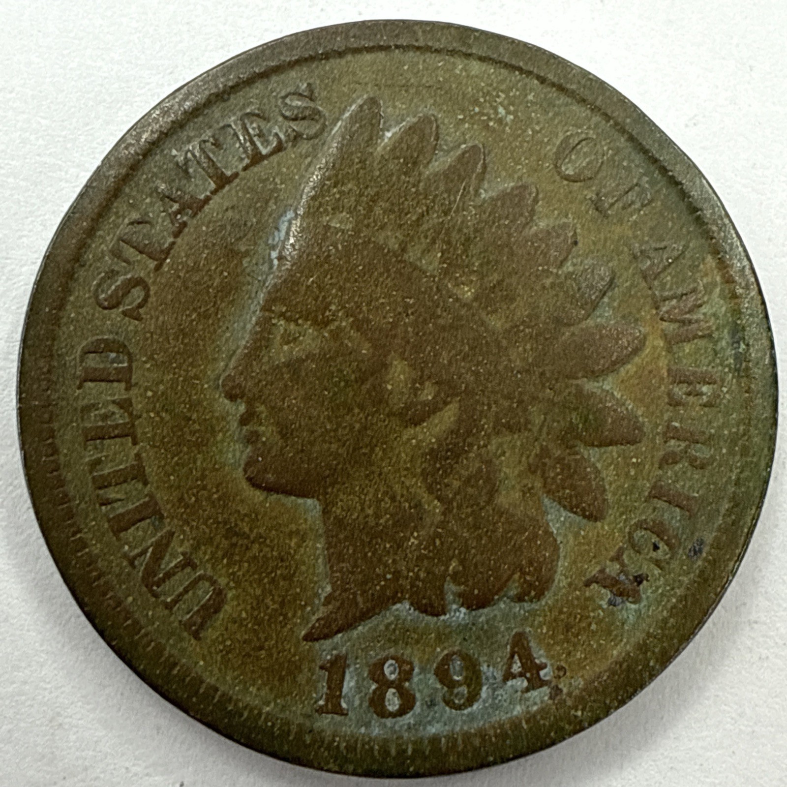 1894 Indian Head Cent Exact Coin Imaged #IND2261