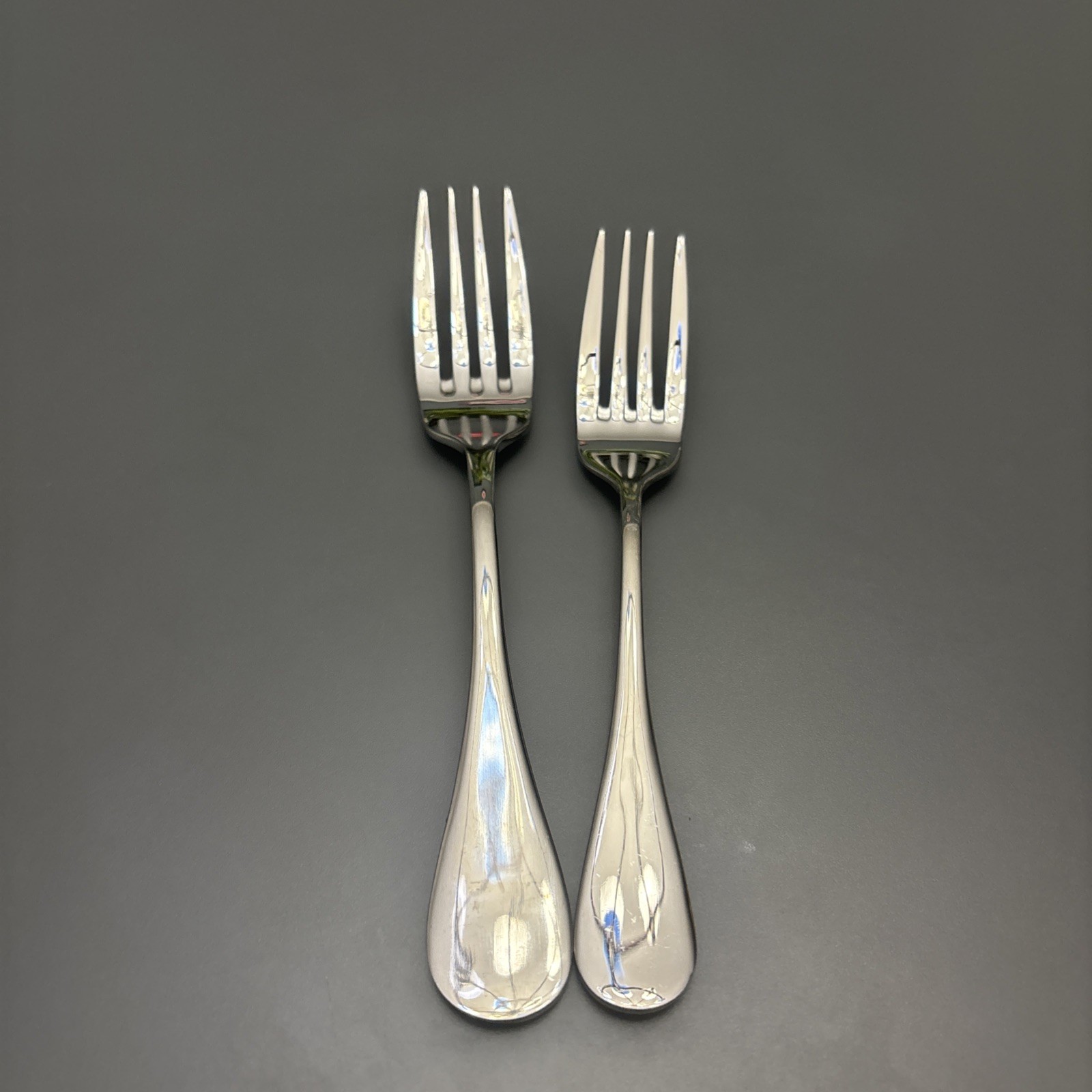 Artaste Rain 18/10 Stainless Steel Flatware 2 Pieces Dinner Fork & Salad Fork