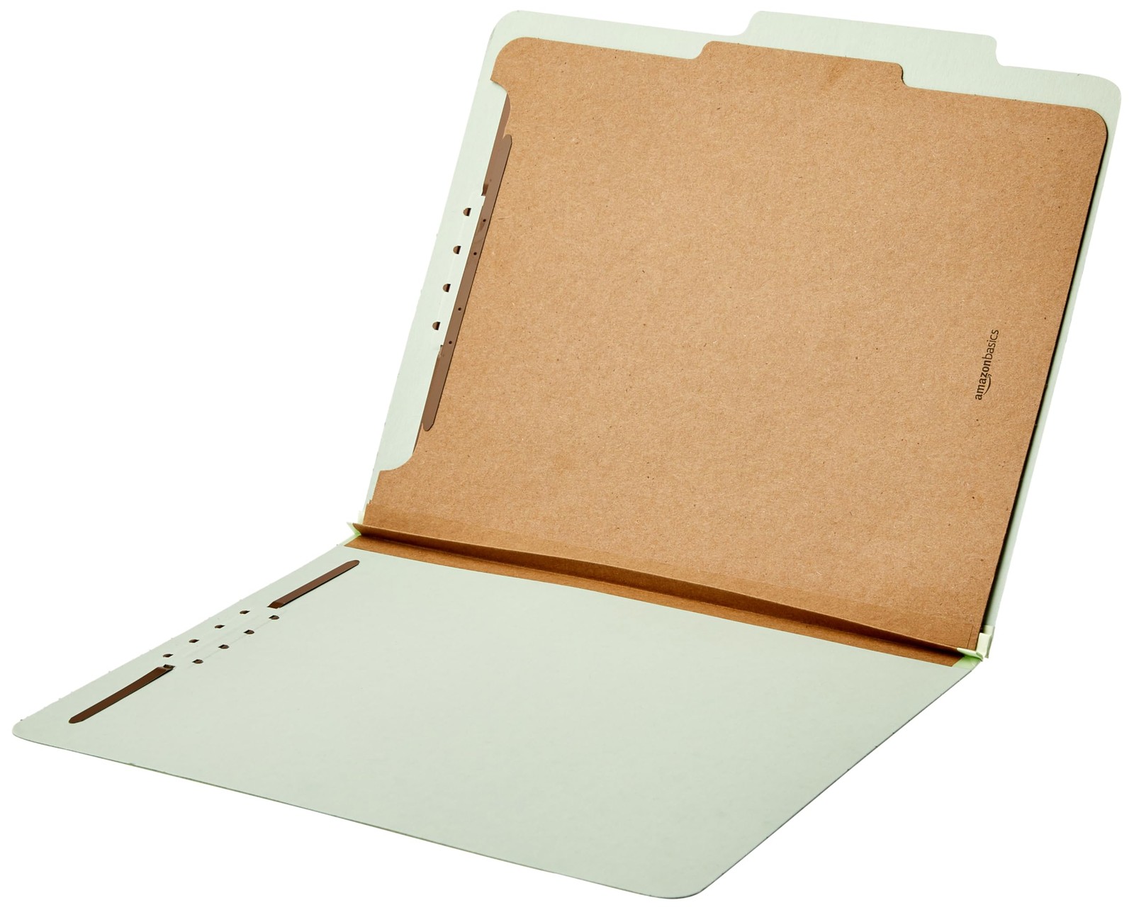 Amazon Basics Classification File 12.05 x 10.47 Inch (Letter), Light Green