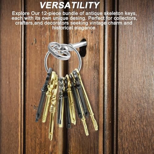 Universal Skeleton Key Set - 12PCS Hollow Barre Skeleton Keys Replacement for