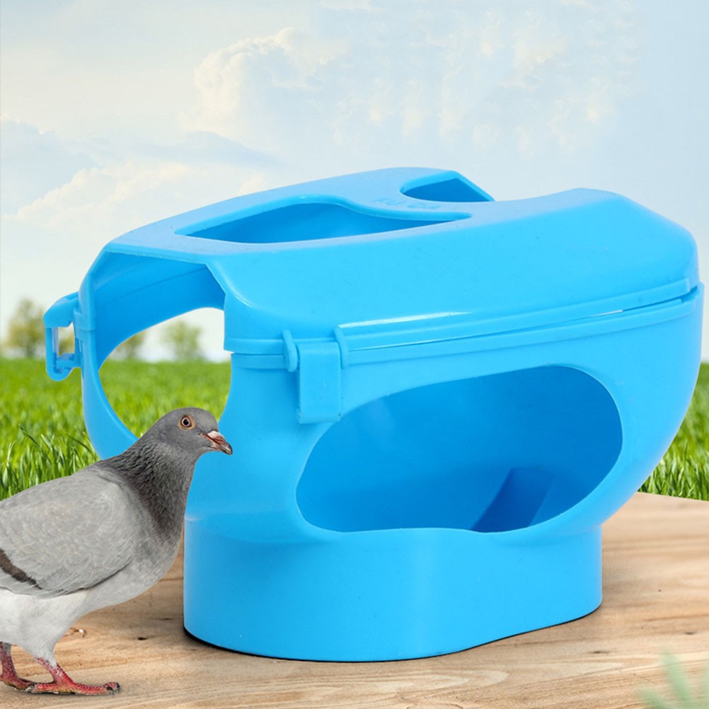 Reusable Pigeon Feeder Rack Plastic Durable Bird Holder for Injection Use