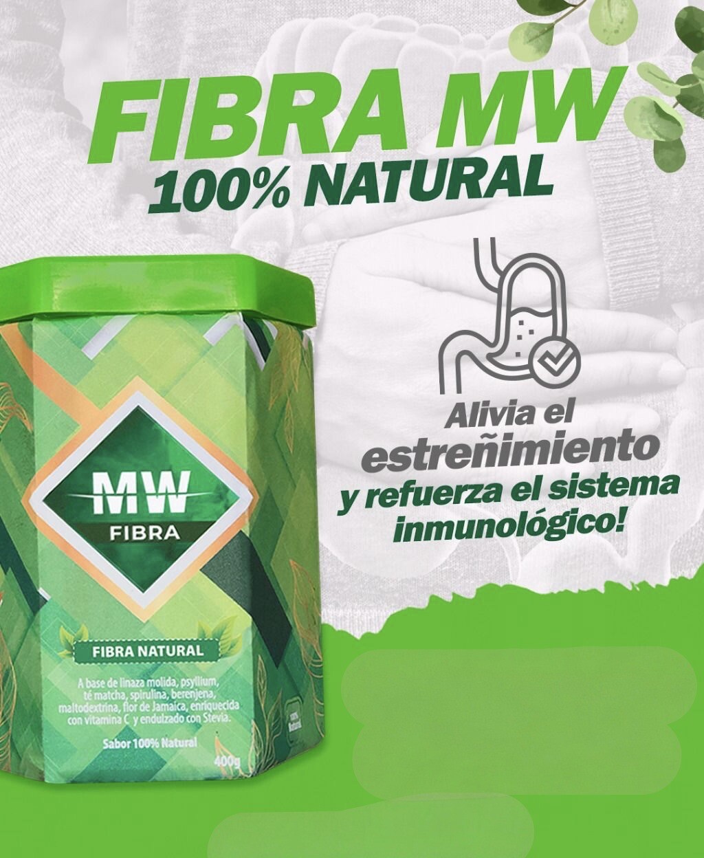 MW FIBER / FIBRA MW 100% NATURAL/Linaza/Gengibre/Flor de Jamaica/Te Matcha