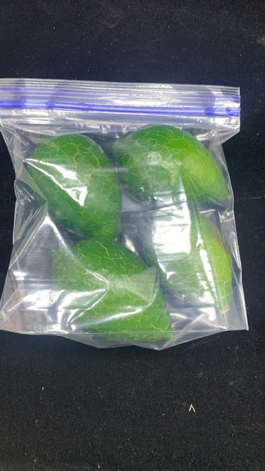 FAUX AVOCADOS IN BAG.