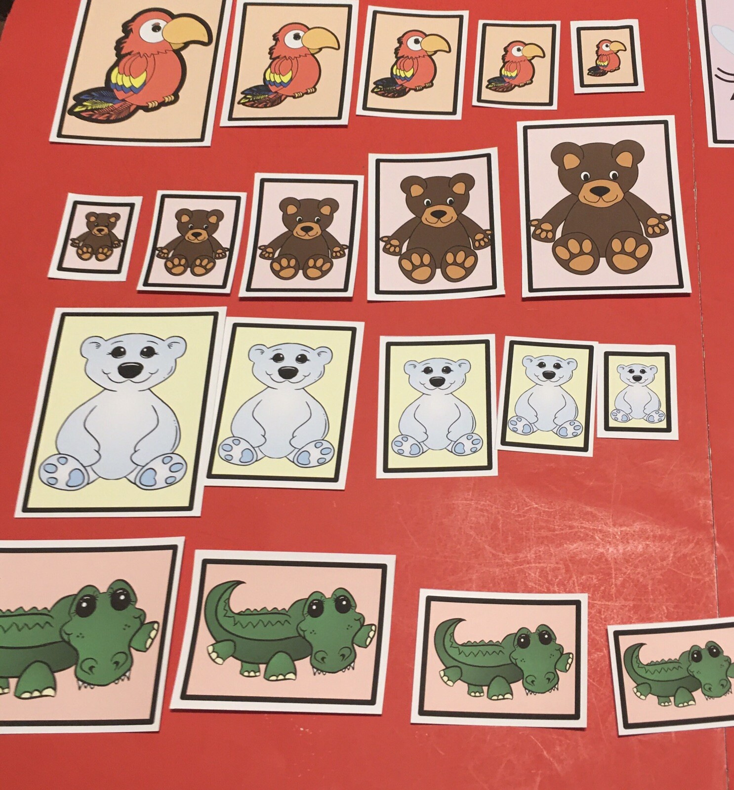 Laminated Sorting Cards - Size Sorting - 40 Cards Set