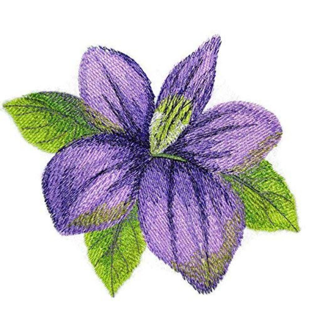 Custom and Unique Water Color Blooms and Butterflies [Watercolor Violet Bloom] E
