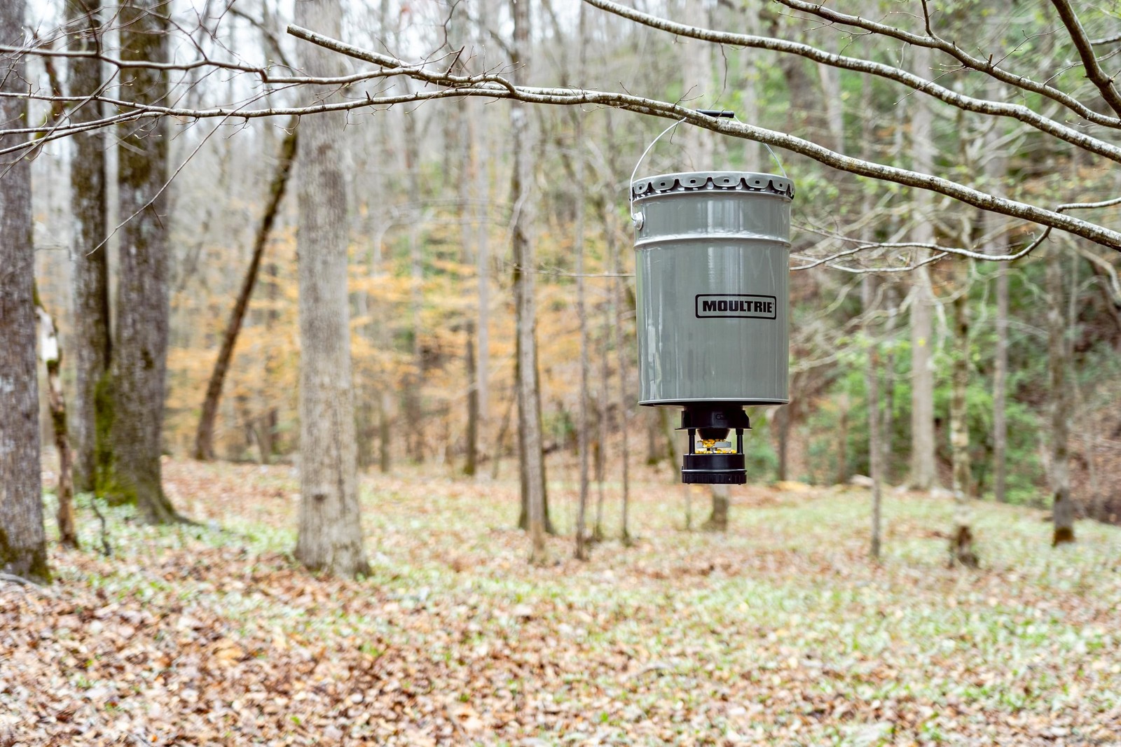 All-in-One Hanging Deer Feeder - 40 Lb, Bluetooth App