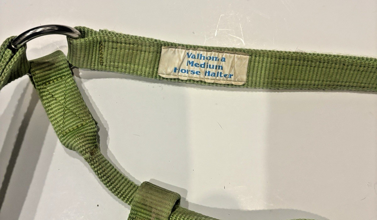 Valhoma Green Horse Halter -- Medium -- Green -- Used