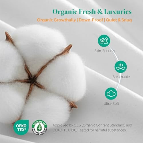 Down Feather Throw Pillow Inserts, 18x18 Pillows Set of 18x18 Inch (Pack of 2)